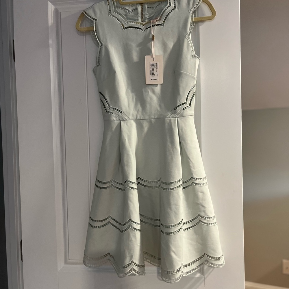 Ted Baker London Soft Mint Green Embroidered Tiered Skater Dress